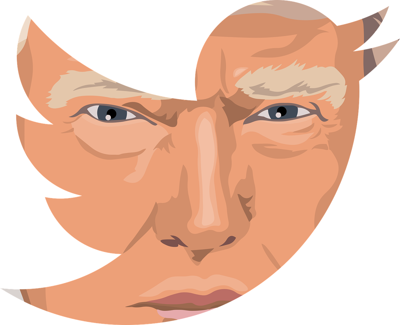 Twitter, Facebook et Instagram : les géants d’internet bannissent Trump