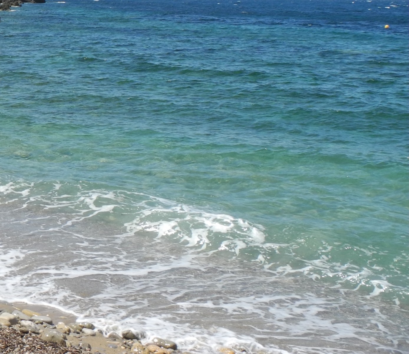 Infographie linternet est une jungle