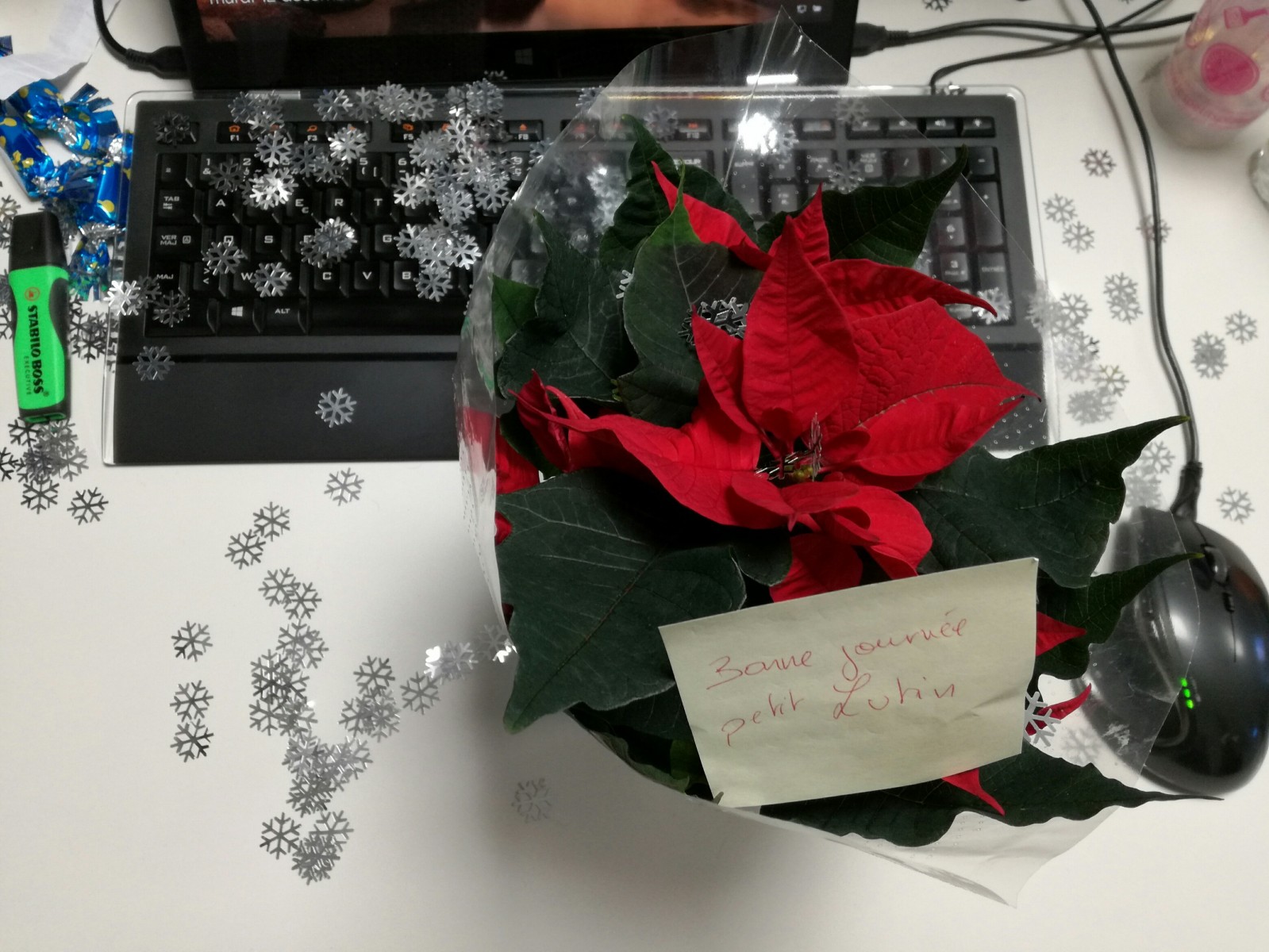 Team building de Noël Marseille