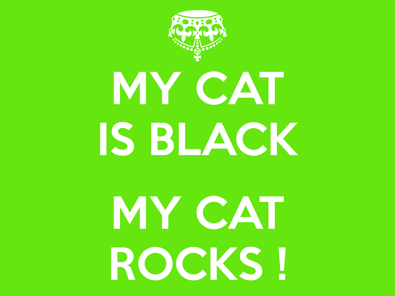 Catmoji : Le paradis des amoureux des chats, mais pas un concurrent de Pinterest