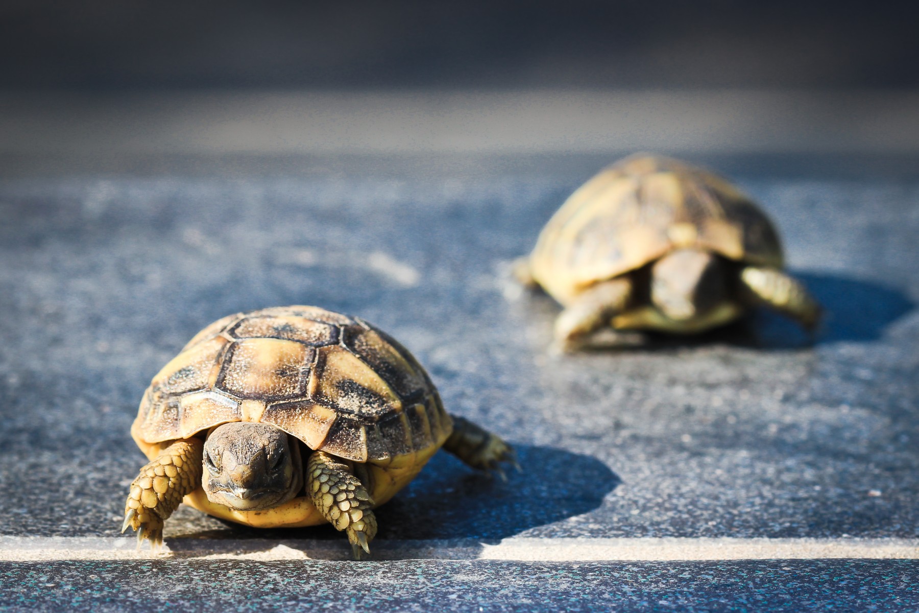  Les pénalités d'un site web trop lent