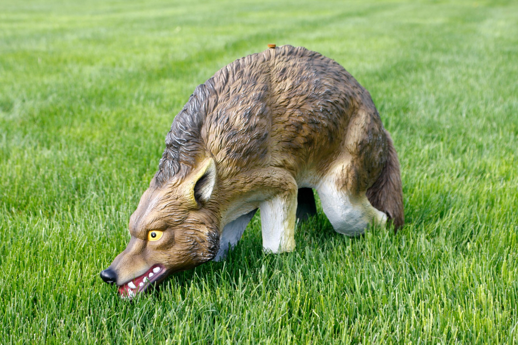 Projet de loi anti fake news en France