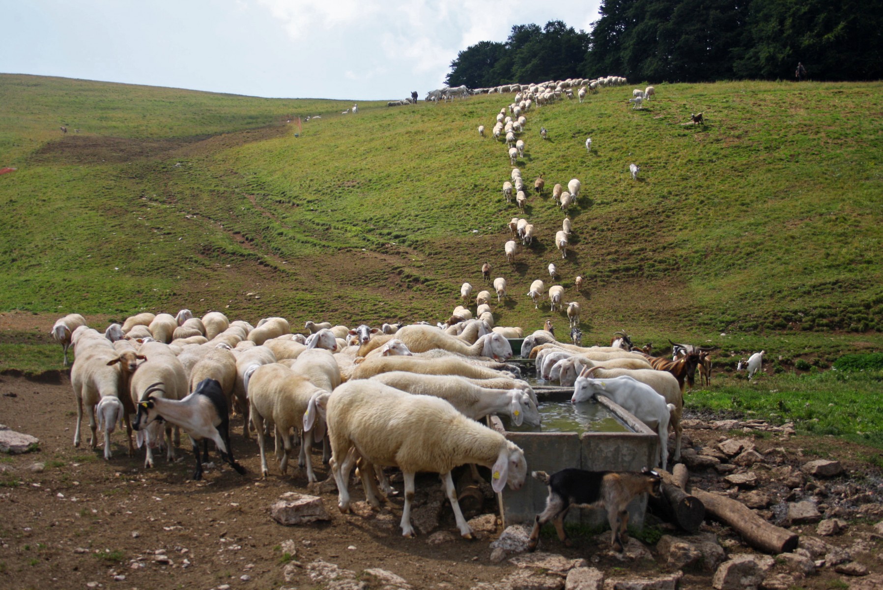  Qu'est-ce que la désinformation ?
