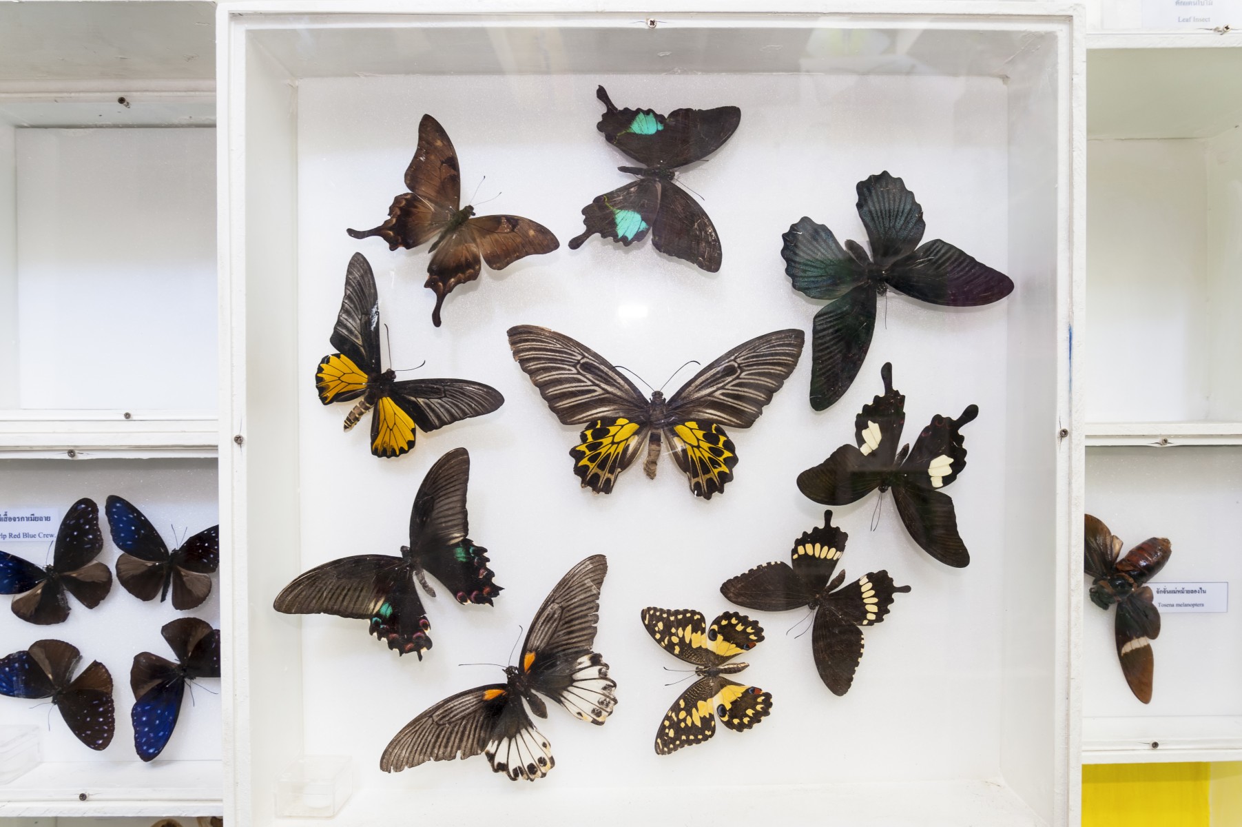  Les données des utilisateurs de Facebook récupérées