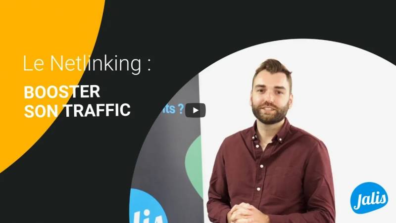  expert en netlinking
